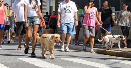 Cãominhada acontece neste sábado na praia da Barrinha