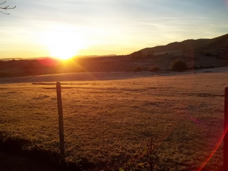Semana inicia com sol e geada em São Lourenço com possibilidade de chuva na sexta-feira