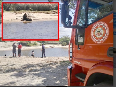 Corpo de Bombeiros monitoram novamente o Leão-marinho, agora próximo ao arroio Carahá, para que os órgãos do meio ambiente tomem as medidas necessárias 
