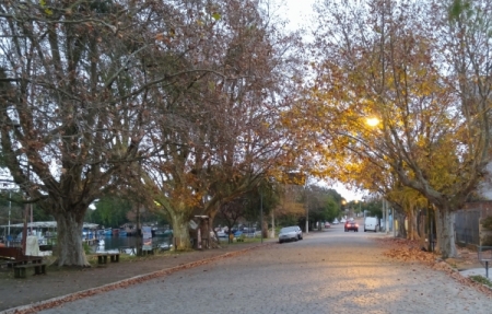 Outono inicia neste domingo - Veja a previsão do Tempo